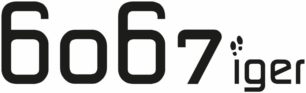 6067iger