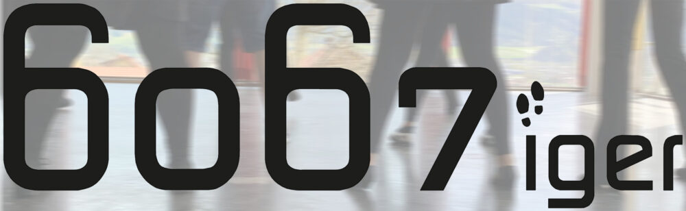 6067iger